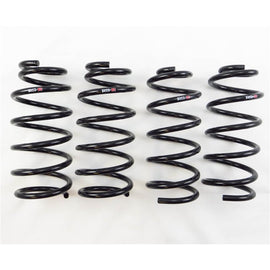 RS-R 2014-2021 Mazda Mazda 6 (GJ2FP) Down Sus Springs