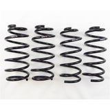 RS-R 2014-2021 Mazda Mazda 6 (GJ2FP) Down Sus Springs