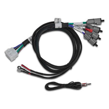 Load image into Gallery viewer, Photo - Primary