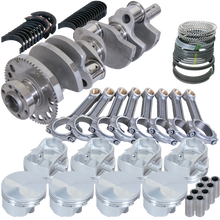 Load image into Gallery viewer, Photo - Primary