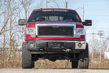 Load image into Gallery viewer, Mesh Grille | Ford F-150 2WD/4WD (2009-2014)