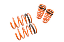 Load image into Gallery viewer, Lowering Springs for Acura RSX Base/Type S 02-04  -- MR-LS-AR02