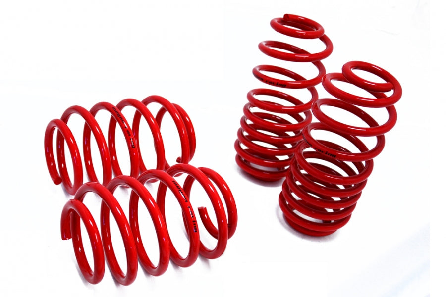 Lowering Springs -- Euro-Version for Audi TT 08-14 -- MR-LS-AT07