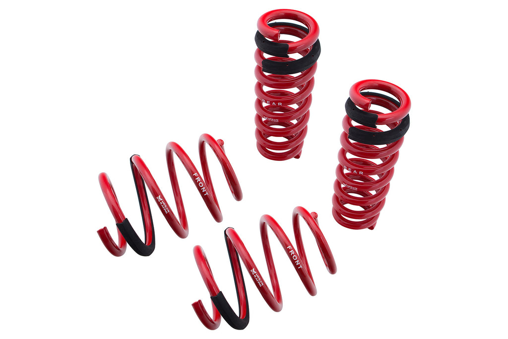 Lowering Springs -- Euro-Version for BMW M3 E90/E92 08-13 -- MR-LS-BE92M3