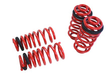Load image into Gallery viewer, Lowering Springs -- Euro-Version for BMW X5 08-13 / BMW X5M 10-13 (w/o Self Leveling) -- MR-LS-BX507