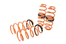 Load image into Gallery viewer, Ford Fiesta 11-16 (EXC ST Model) Lowering Springs -- MR-LS-FFSA12