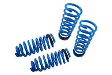 Load image into Gallery viewer, Lowering Springs for Lexus GS400 / GS430 98-04 -- MR-LS-LG498