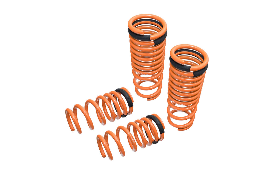 Lowering Springs for Nissan GT-R (R35) 09-18 -- MR-LS-NR35