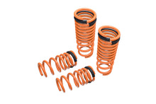 Load image into Gallery viewer, Lowering Springs for Nissan GT-R (R35) 09-18 -- MR-LS-NR35