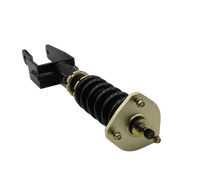 Load image into Gallery viewer, BLOX Racing Plus Series Pro Coilovers - 17-25 Model 3 RWD