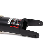 Load image into Gallery viewer, BLOX Racing Street Series HS Coilovers - 88-00 Civic EF EG EK / 94-01 Integra DC