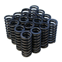Load image into Gallery viewer, BLOX Racing Valve Springs - D-Series SOHC VTEC