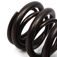 Load image into Gallery viewer, BLOX Racing Valve Springs - K-Series DOHC iVTEC