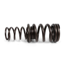 Load image into Gallery viewer, BLOX Racing Valve Springs - K-Series DOHC iVTEC