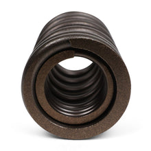 Load image into Gallery viewer, BLOX Racing Valve Springs - K-Series DOHC iVTEC