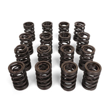 Load image into Gallery viewer, BLOX Racing Valve Springs - K-Series DOHC iVTEC