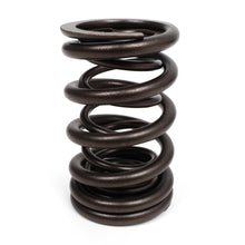 Load image into Gallery viewer, BLOX Racing Valve Springs - K-Series DOHC iVTEC